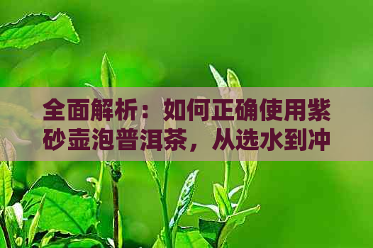 全面解析：如何正确使用紫砂壶泡普洱茶，从选水到冲泡技巧一应俱全