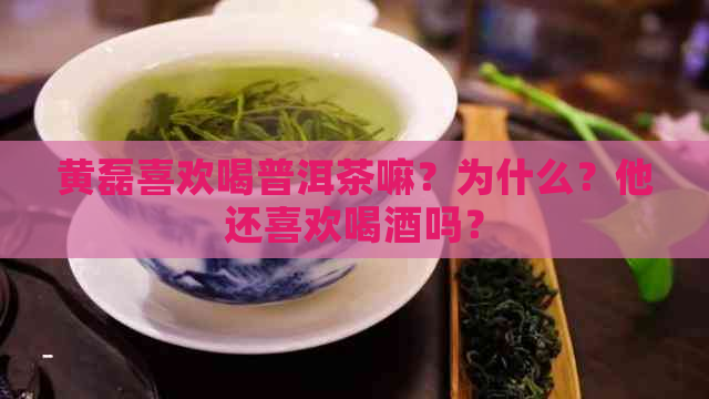 黄磊喜欢喝普洱茶嘛？为什么？他还喜欢喝酒吗？