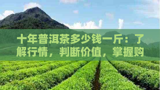 十年普洱茶多少钱一斤：了解行情，判断价值，掌握购买技巧