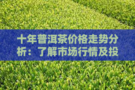 十年普洱茶价格走势分析：了解市场行情及投资价值