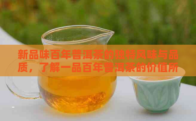 新品味百年普洱茶的独特风味与品质，了解一品百年普洱茶的价值所在