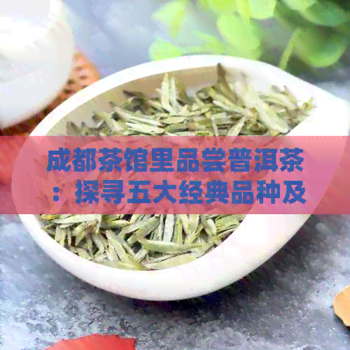 成都茶馆里品尝普洱茶：探寻五大经典品种及其特色味道