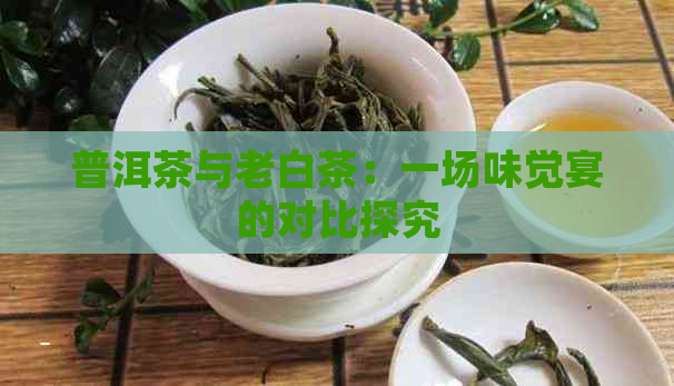 普洱茶与老白茶：一场味觉宴的对比探究