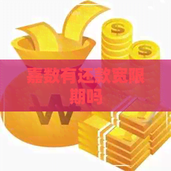 嘉数有还款宽限期吗