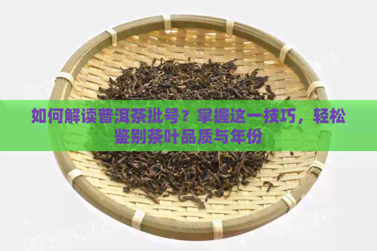 如何解读普洱茶批号？掌握这一技巧，轻松鉴别茶叶品质与年份