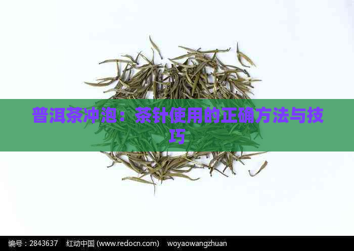 普洱茶冲泡：茶针使用的正确方法与技巧