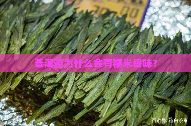 普洱茶为什么会有糯米香味？