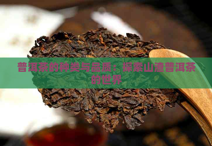 普洱茶的种类与品质：探索山渣普洱茶的世界