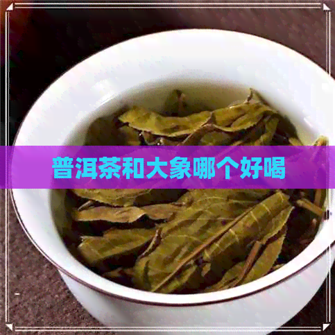 普洱茶和大象哪个好喝