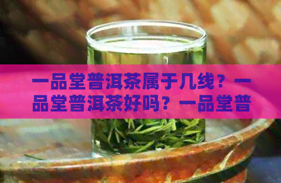 一品堂普洱茶属于几线？一品堂普洱茶好吗？一品堂普洱茶官方网站。