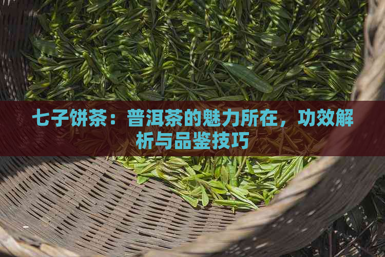 七子饼茶：普洱茶的魅力所在，功效解析与品鉴技巧