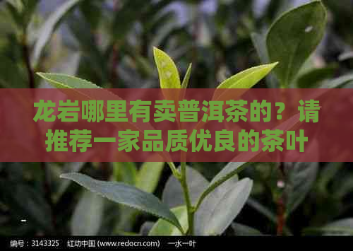 龙岩哪里有卖普洱茶的？请推荐一家品质优良的茶叶商店