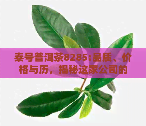 泰号普洱茶8285:品质、价格与历，揭秘这家公司的产品特色