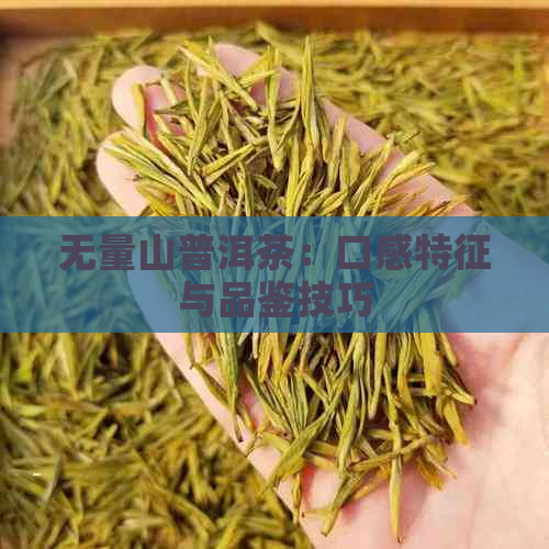 无量山普洱茶：口感特征与品鉴技巧