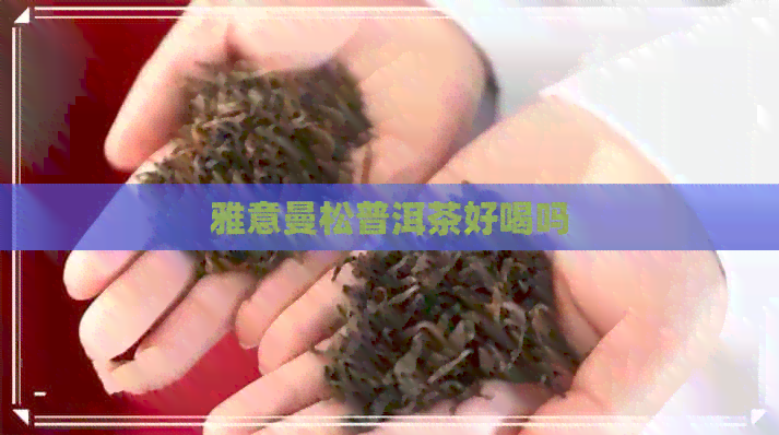 雅意曼松普洱茶好喝吗