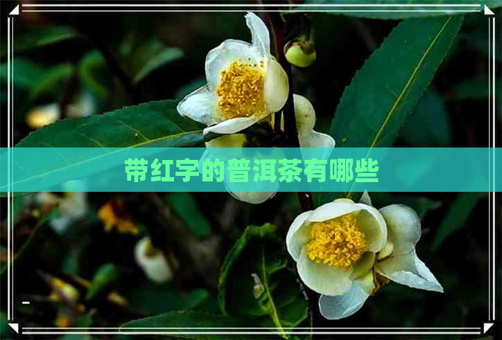 带红字的普洱茶有哪些