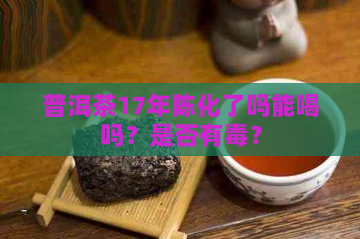 普洱茶17年陈化了吗能喝吗？是否有？