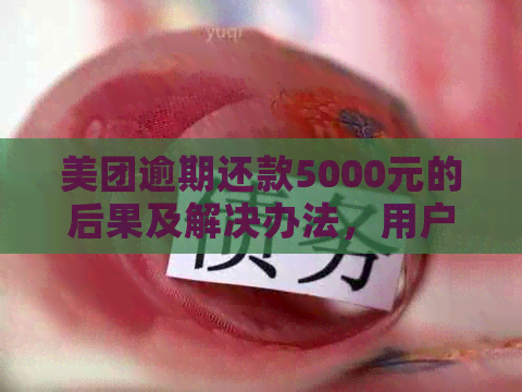 美团逾期还款5000元的后果及解决办法，用户必看！