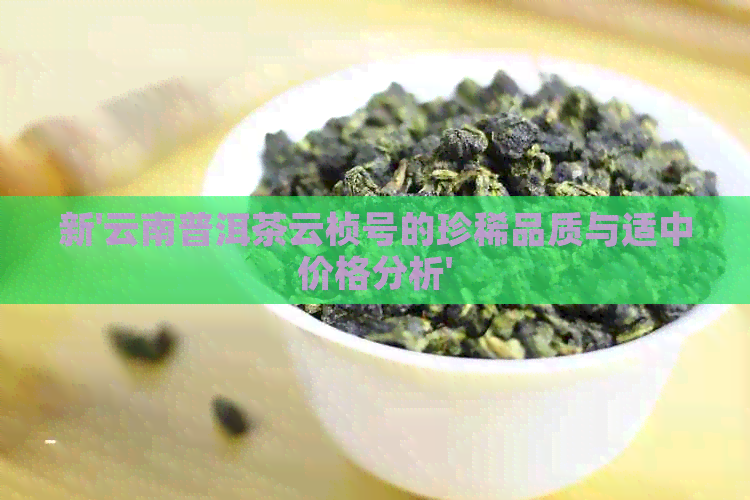 新'云南普洱茶云桢号的珍稀品质与适中价格分析'