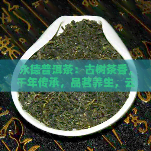 永德普洱茶：古树茶香，千年传承，品茗养生，云南风味