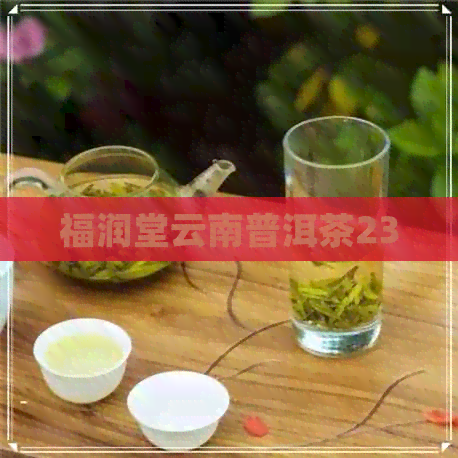 福润堂云南普洱茶23