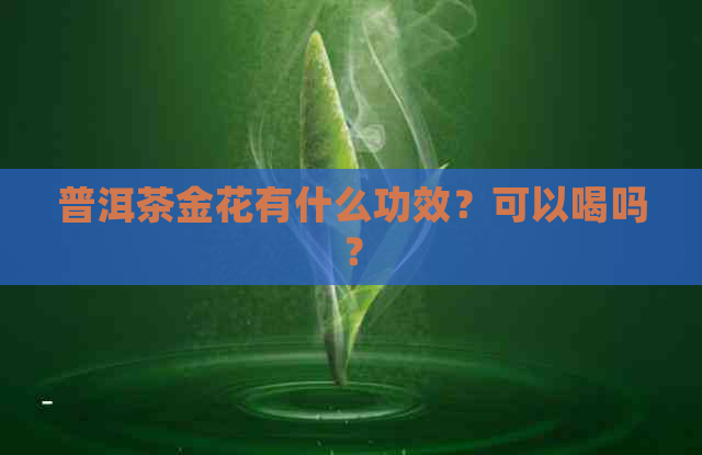 普洱茶金花有什么功效？可以喝吗？