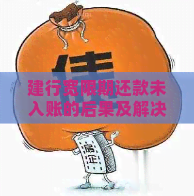 建行宽限期还款未入账的后果及解决办法：用户必读