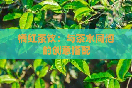 橘红茶饮：与茶水同泡的创意搭配