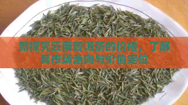 新探究云南普洱茶的价格，了解其市场走向与价值定位