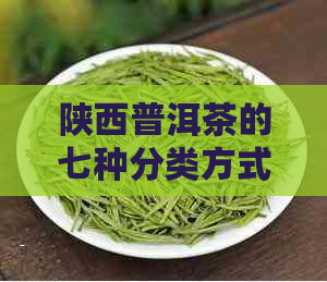 陕西普洱茶的七种分类方式解析：了解不同类型的特点与口感