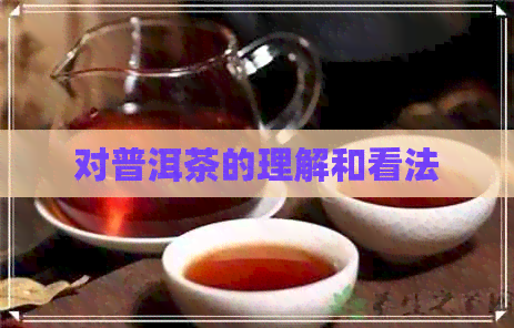 对普洱茶的理解和看法