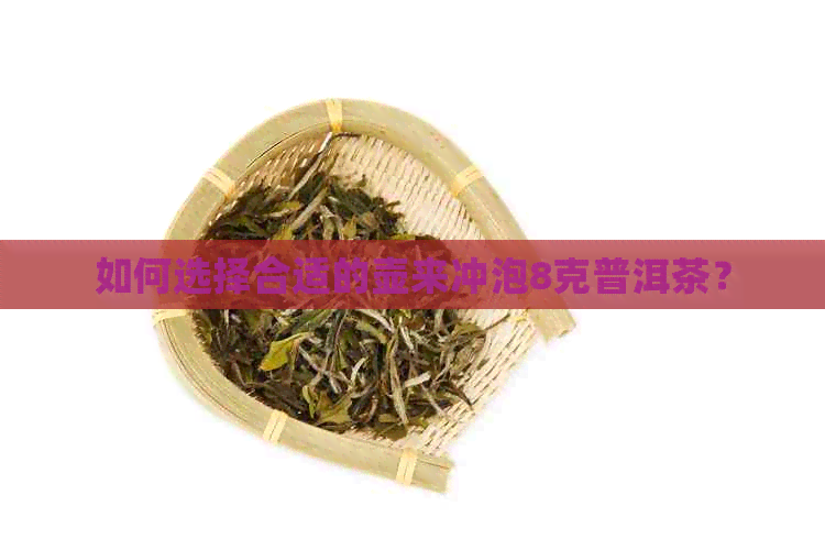 如何选择合适的壶来冲泡8克普洱茶？