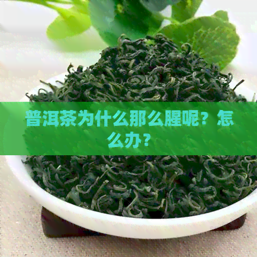 普洱茶为什么那么腥呢？怎么办？