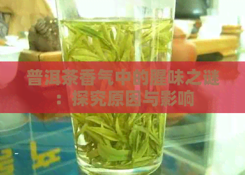 普洱茶香气中的腥味之谜：探究原因与影响