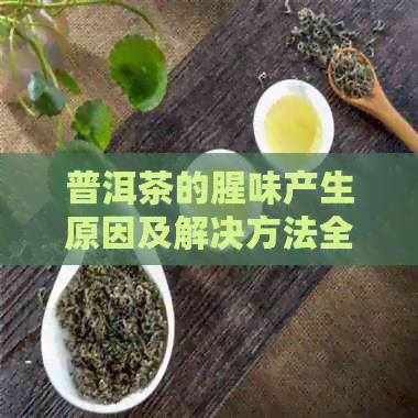 普洱茶的腥味产生原因及解决方法全面解析