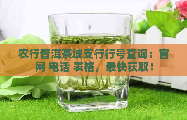 农行普洱茶城支行行号查询：官网 电话 表格，最快获取！