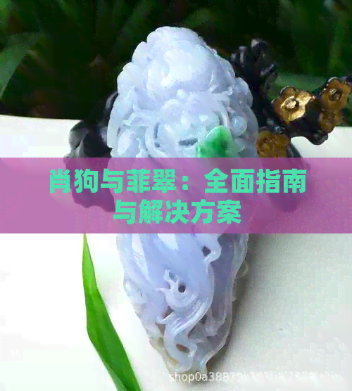 肖狗与菲翠：全面指南与解决方案