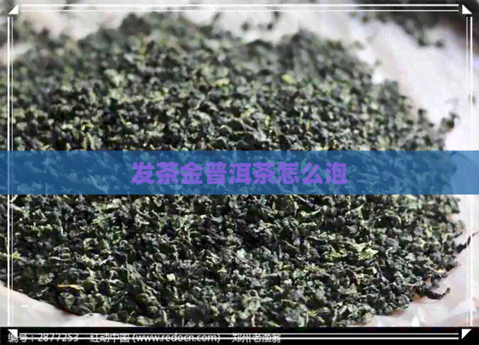 发茶金普洱茶怎么泡