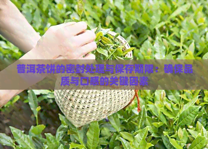 普洱茶饼的密封处理与保存期限：确保品质与口感的关键因素