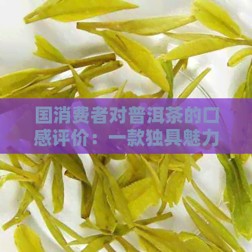 国消费者对普洱茶的口感评价：一款独具魅力的茶饮体验