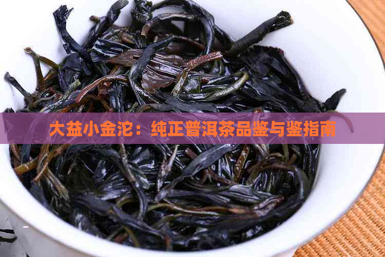 大益小金沱：纯正普洱茶品鉴与鉴指南