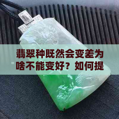 翡翠种既然会变差为啥不能变好？如何提高翡翠质量的策略与方法