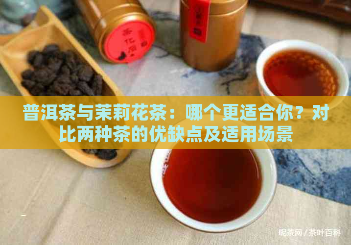 普洱茶与茉莉花茶：哪个更适合你？对比两种茶的优缺点及适用场景