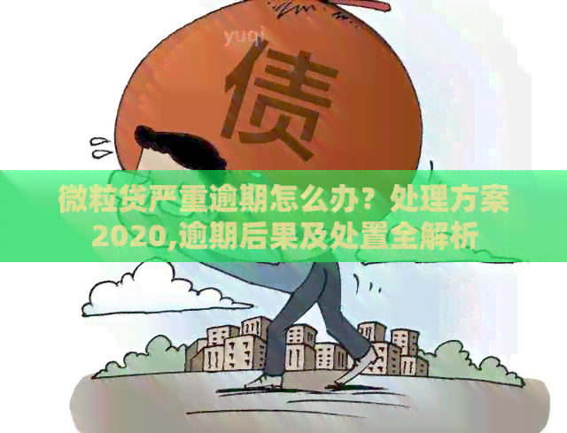 微立贷严重逾期怎么办？处理方案2020,逾期后果及处置全解析