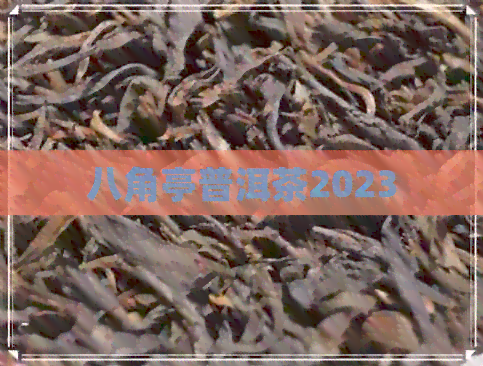 八角亭普洱茶2023