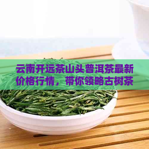 云南开远茶山头普洱茶最新价格行情，带你领略古树茶的独特魅力