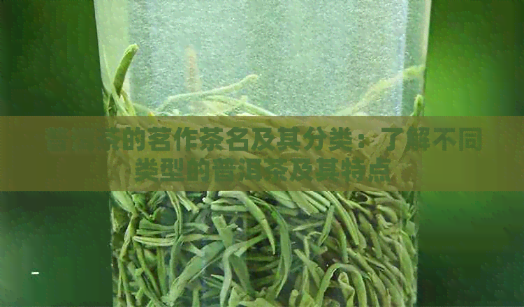 普洱茶的茗作茶名及其分类：了解不同类型的普洱茶及其特点