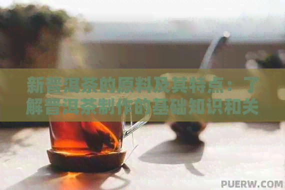 新普洱茶的原料及其特点：了解普洱茶制作的基础知识和关键元素