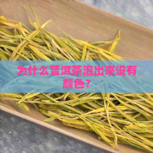 为什么普洱茶泡出来没有颜色？