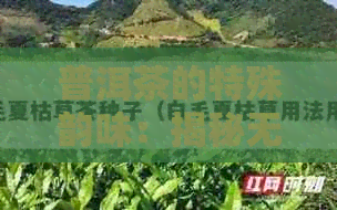 普洱茶的特殊韵味：揭秘无茶叶味道的秘密